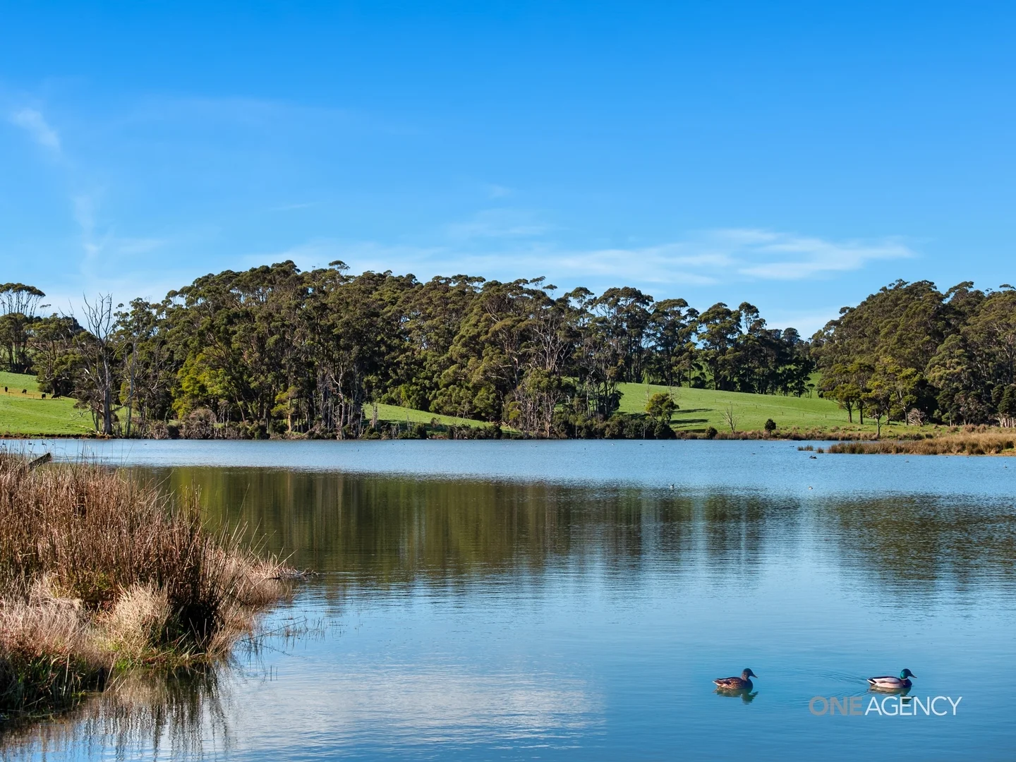 Additional image 8 of 418 Back Line Road, Forest TAS 7330