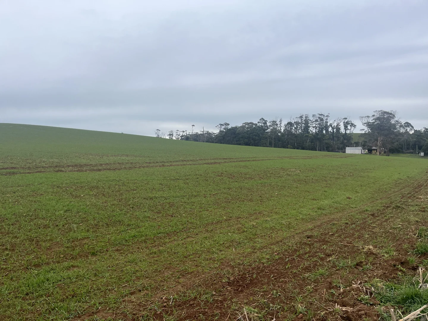 Additional image 6 of 67 Myrtle Grove Road, Wiltshire TAS 7321