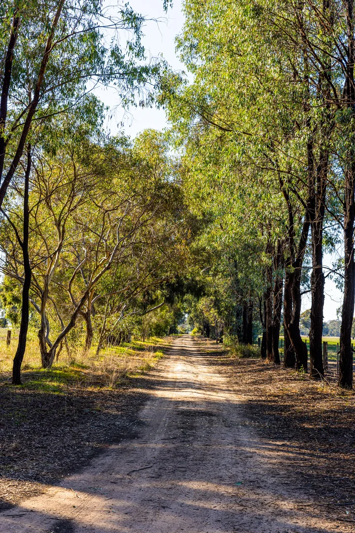 Additional image 9 of 242 Frost Road, Killawarra VIC 3678