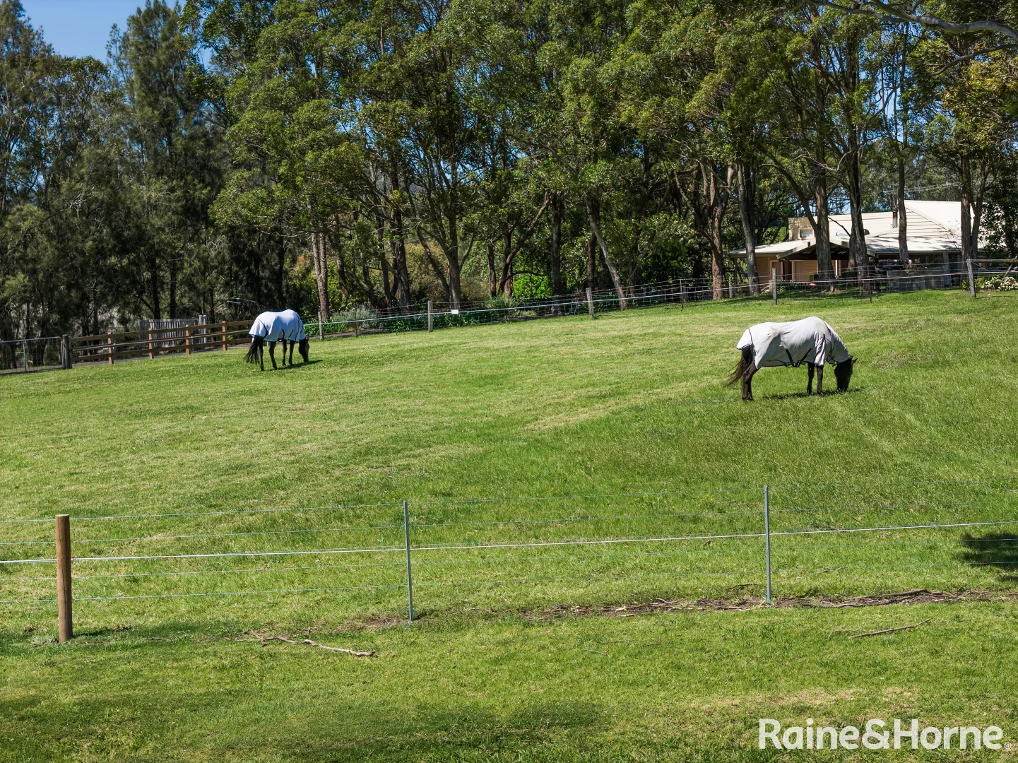 Additional image 29 of 440 Back Forest Road, Far Meadow NSW 2535