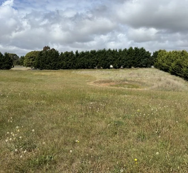 Additional image 11 of 81 Albion Street, Oberon NSW 2787