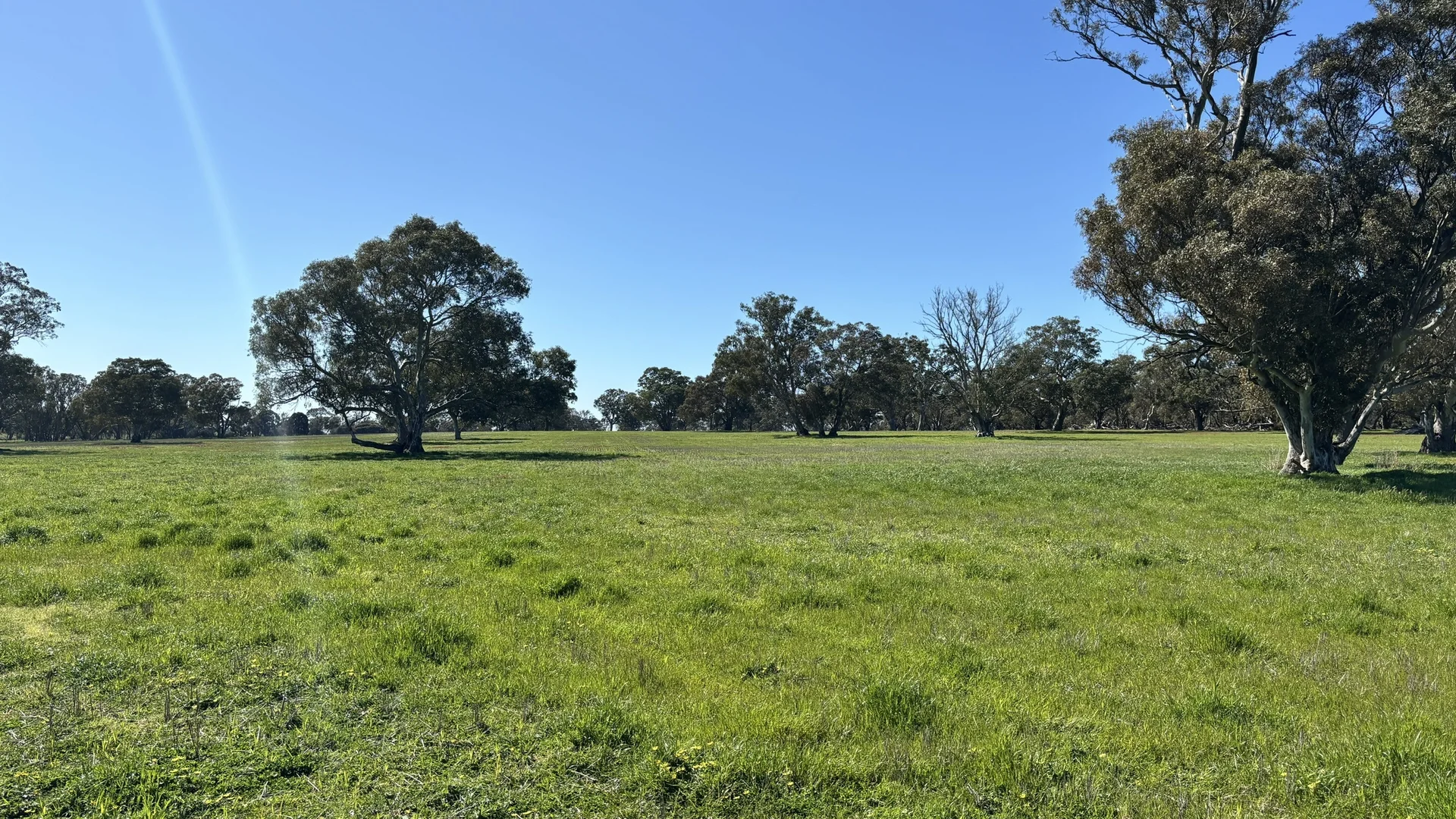 Additional image 29 of 173 Mcclures Rd, Connewirricoo VIC 3318