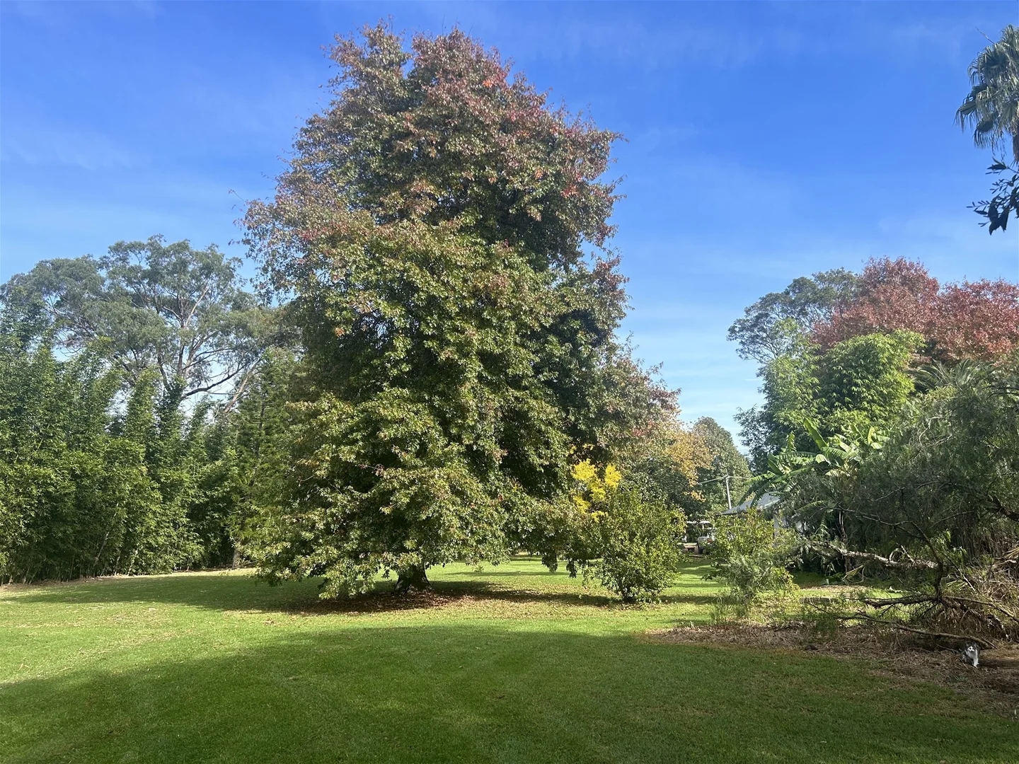 Additional image 32 of 6 Holme Street, Terara NSW 2540