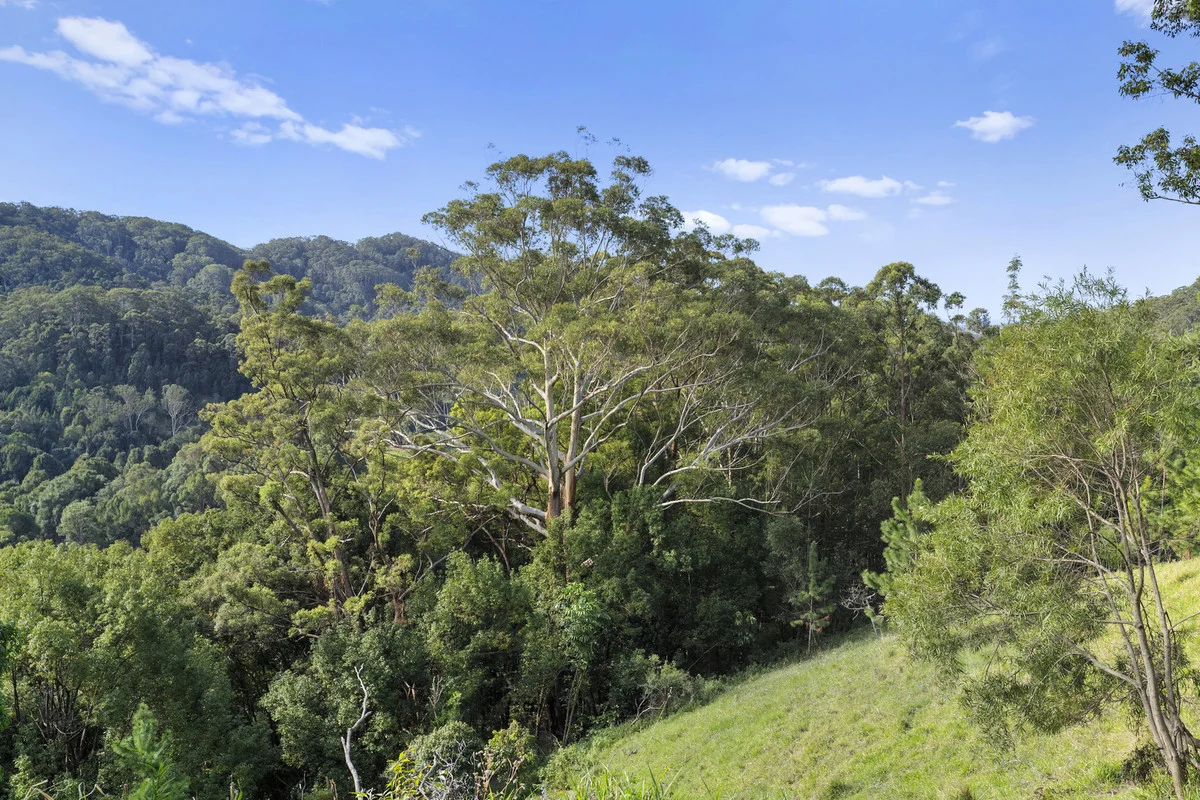 Additional image 13 of 536 Cudgera Creek Road, Cudgera Creek NSW 2484