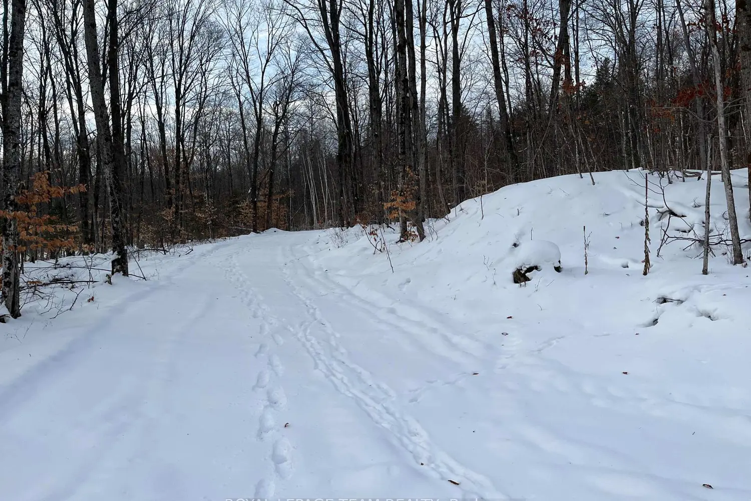 Additional image 5 of 01 Siberia Road