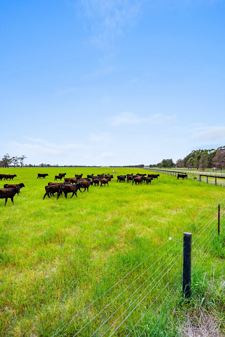 Additional image 15 of 431 Morningside Road, Wahring VIC 3608