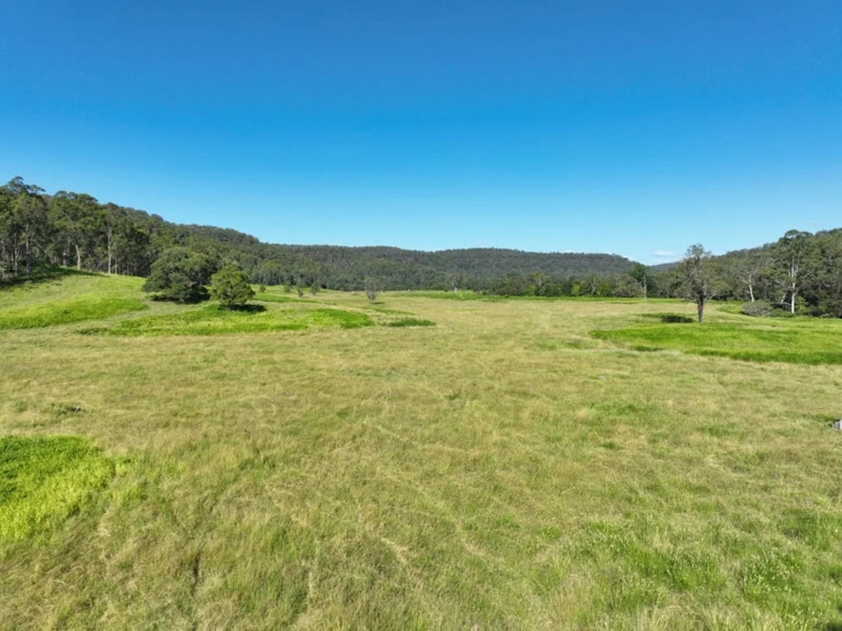 Additional image 7 of 2374 Upper Mongogarie Road, Upper Mongogarie NSW 2470