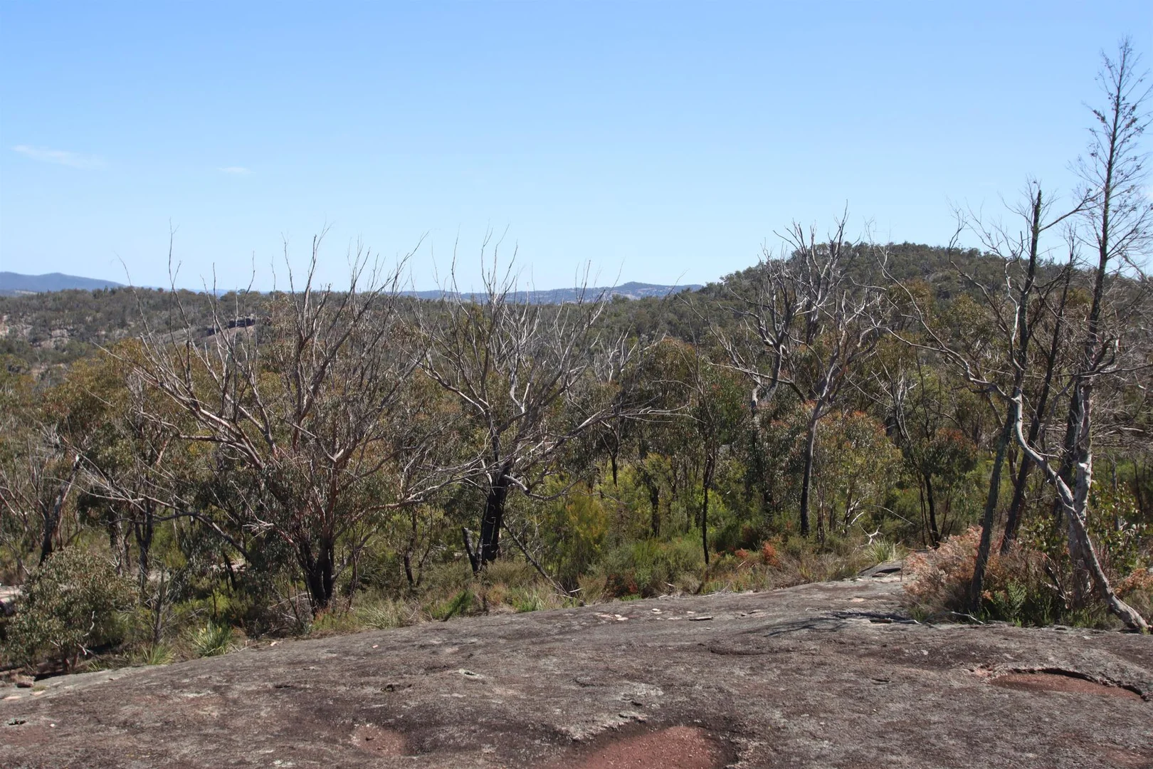 Additional image 15 of Lot 1 Brusharbers Road, Tenterfield NSW 2372