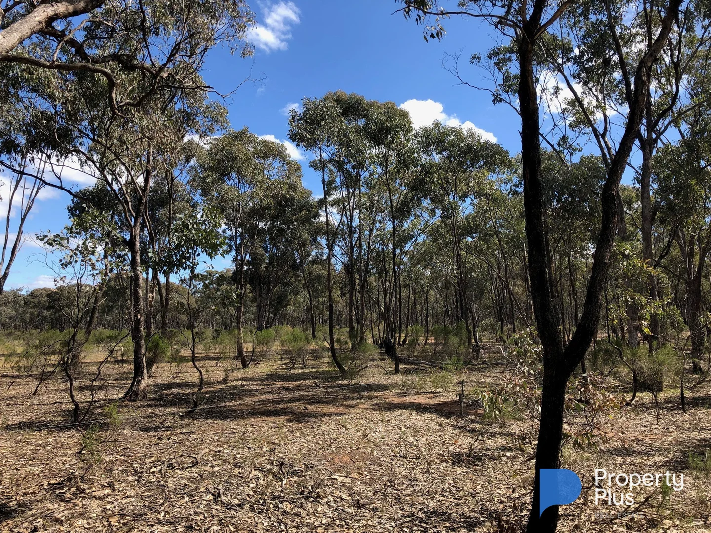 Additional image 11 of 18 & 19 Derby Road, Campbells Forest VIC 3556