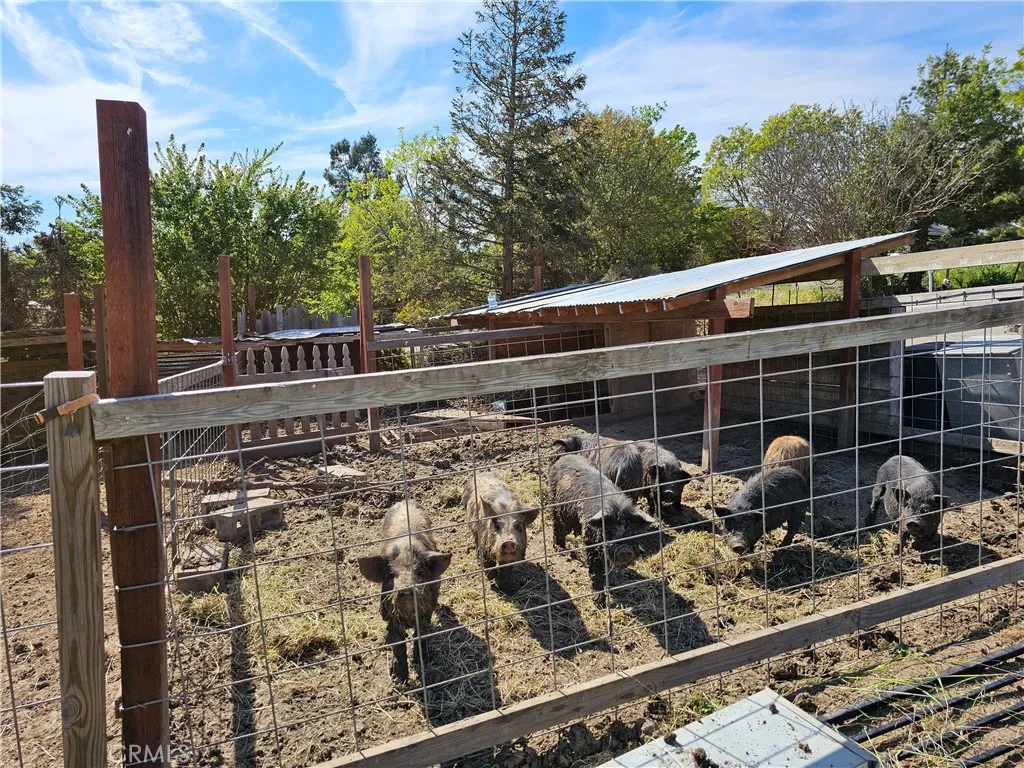 Additional image 44 of 8199 Plane View, Paso Robles, CA 93446