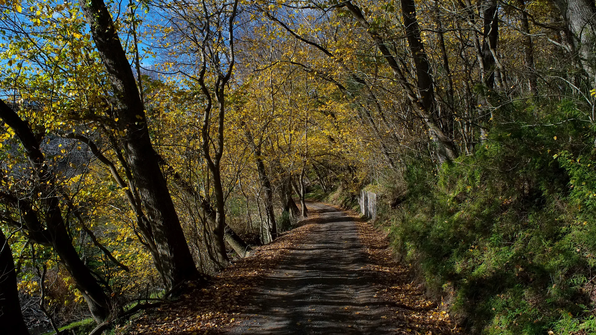 Additional image 14 of 30 Old Hordern Vale Access, Apollo Bay VIC 3233