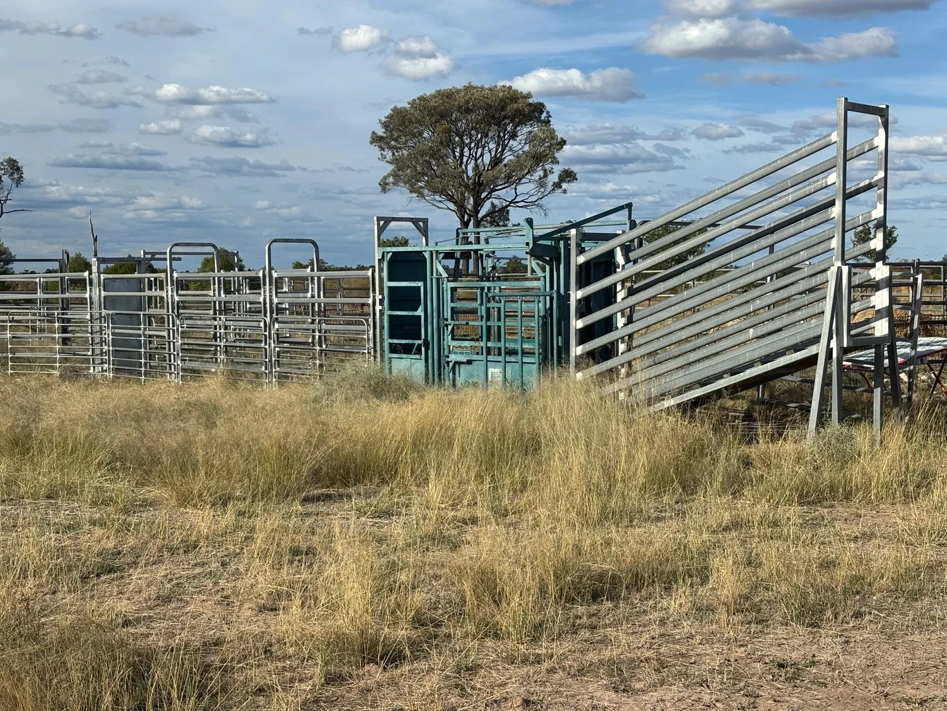 Additional image 5 of 31850 Cunningham Highway, Goondiwindi QLD 4390