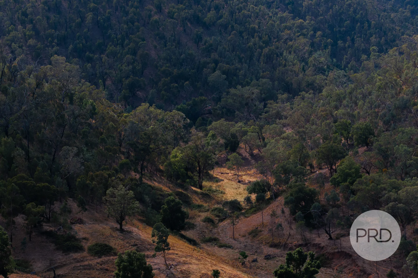 Additional image 32 of 294 Stewarts Road, Oberne Creek NSW 2650