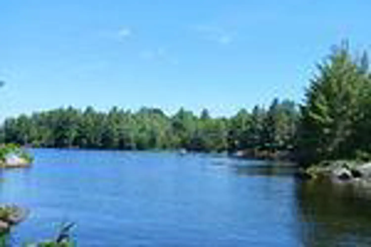 Additional image 8 of 1055 Porkys Road