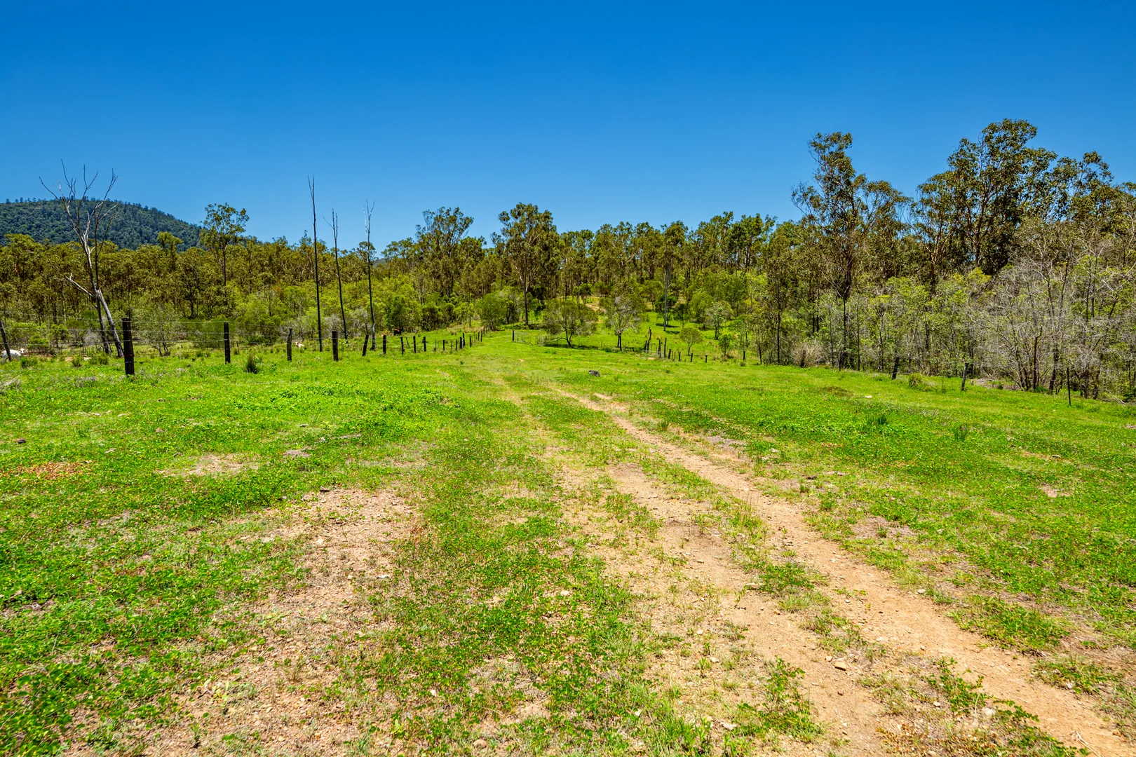 Additional image 3 of 42984 Bruce Highway, Colosseum QLD 4677