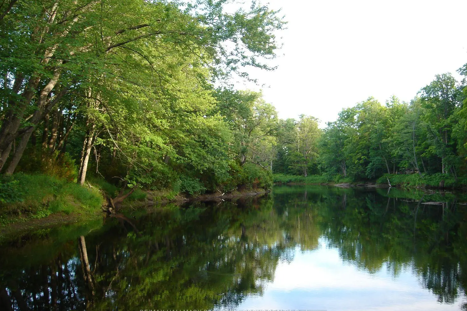 Additional image 7 of 7012 County Road 169