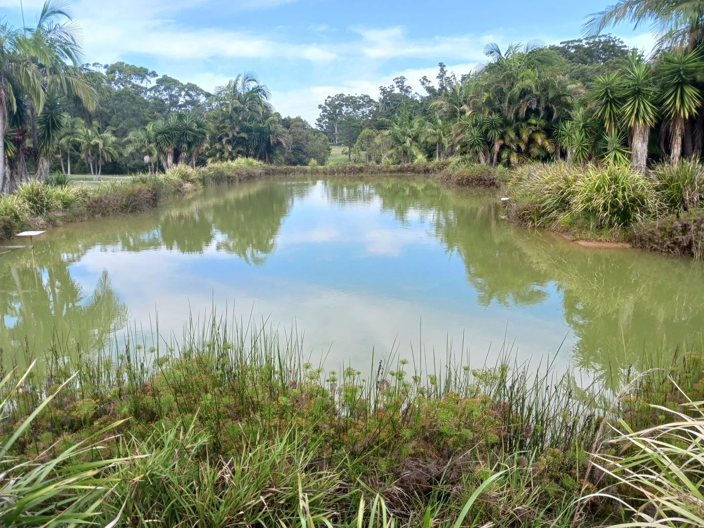 Additional image 6 of 14 Williams Road, Bonville NSW 2450