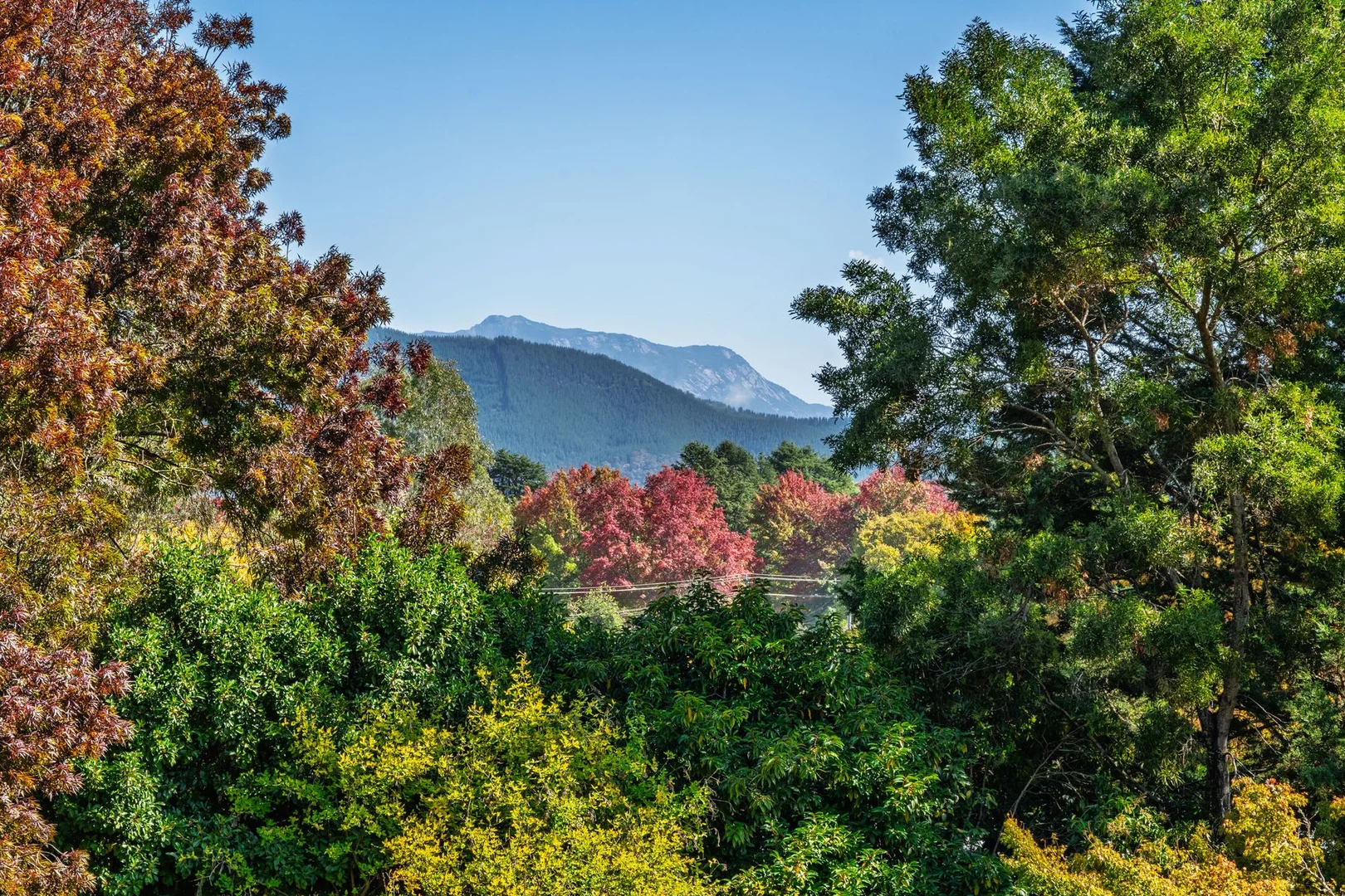 Additional image 4 of 22 Alrima Court, Bright VIC 3741