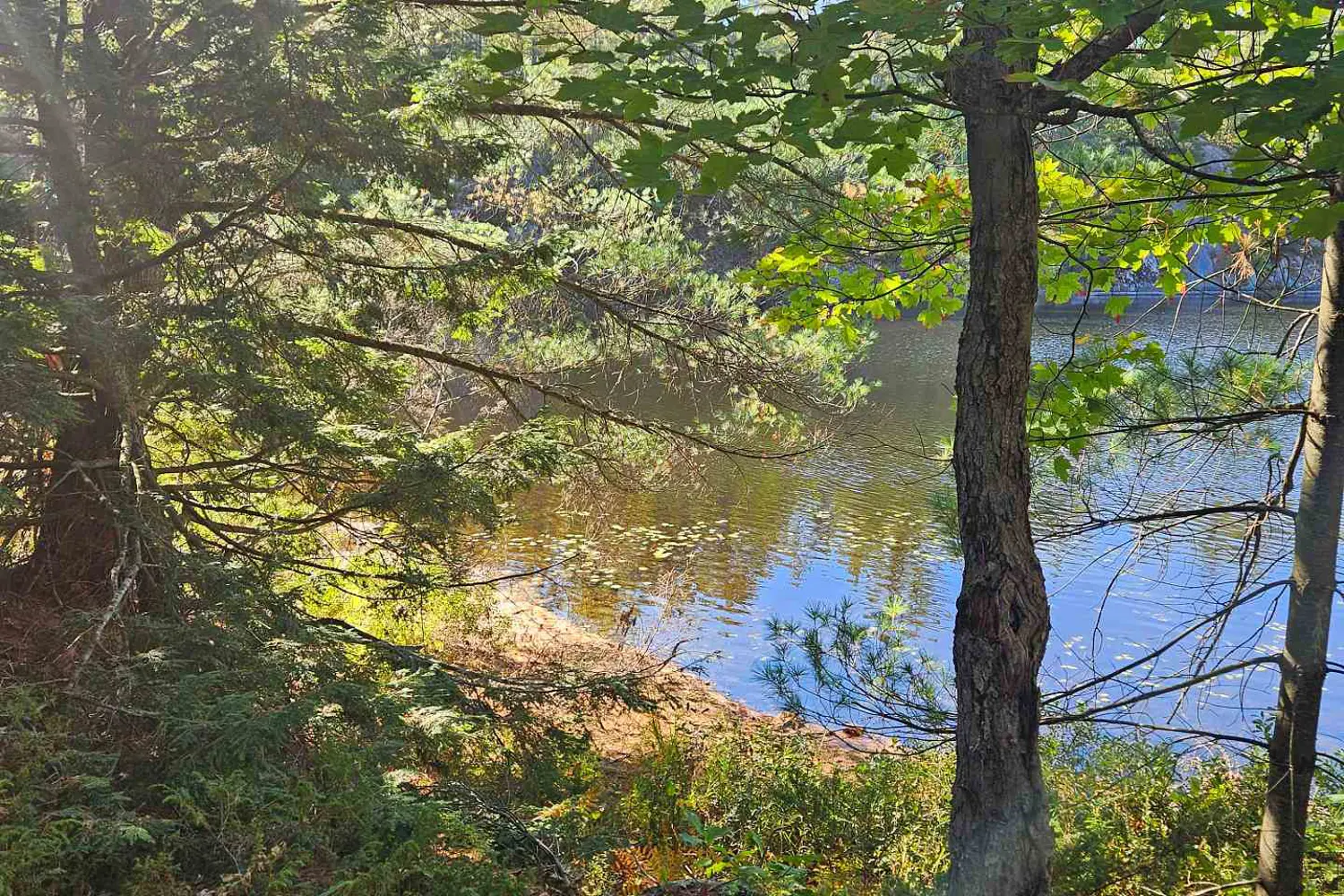 Additional image 4 of 1112 Sam Cook Road