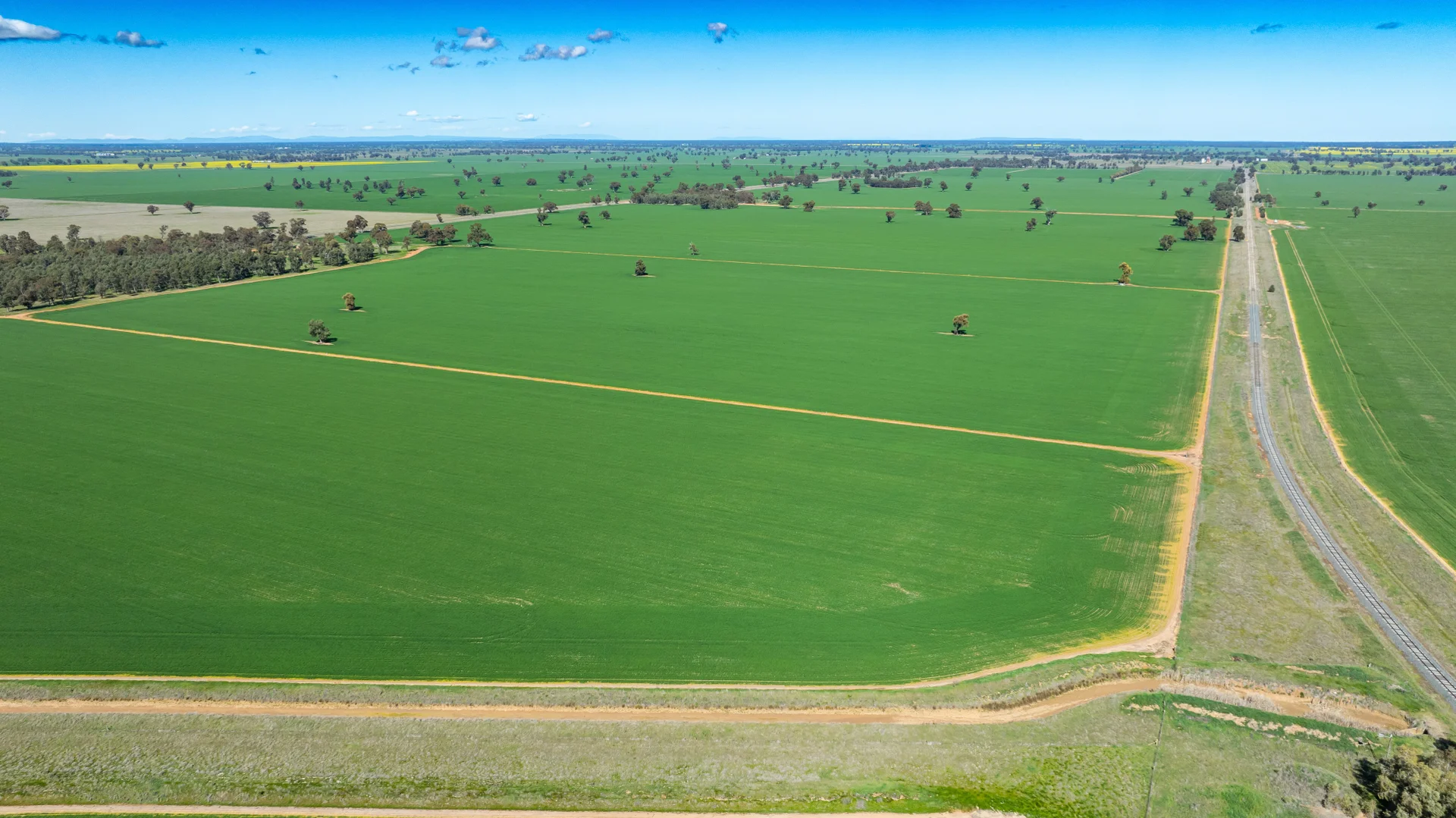 Additional image 34 of 119 Oak Lodge Rd, Sanger NSW 2646