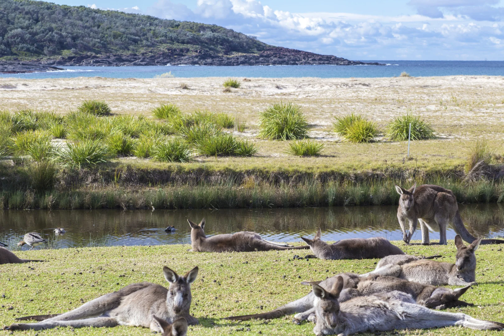 Additional image 16 of 46 Kurrawa Drive, Kioloa NSW 2539