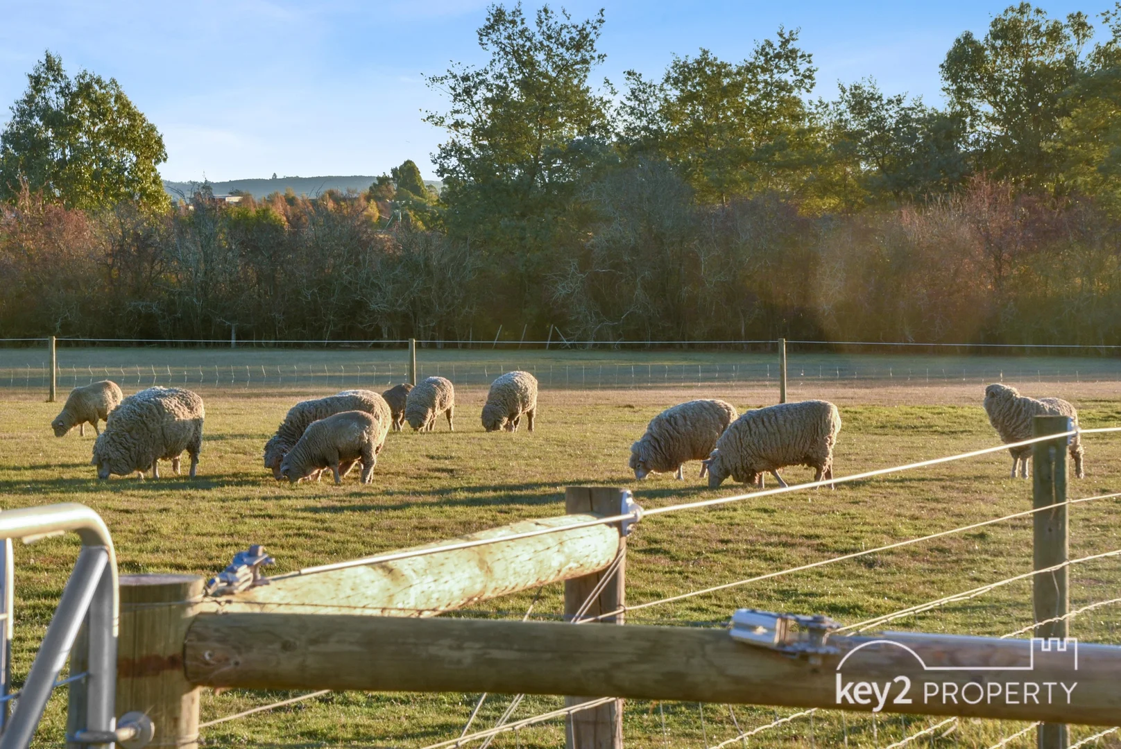 Additional image 30 of 24 Allen Street, Westbury TAS 7303