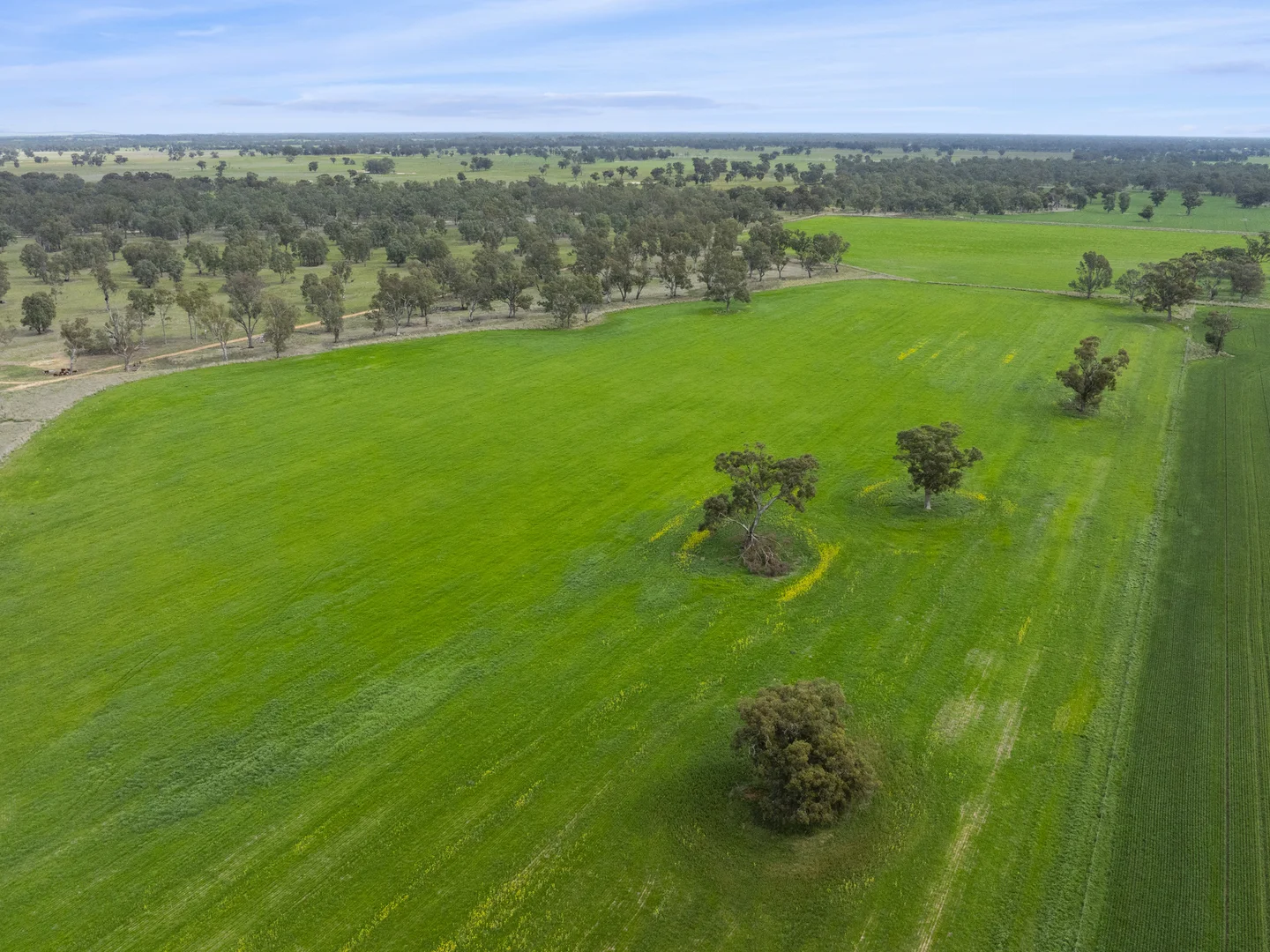 Additional image 14 of 800 Bridge Road, Caniambo VIC 3630