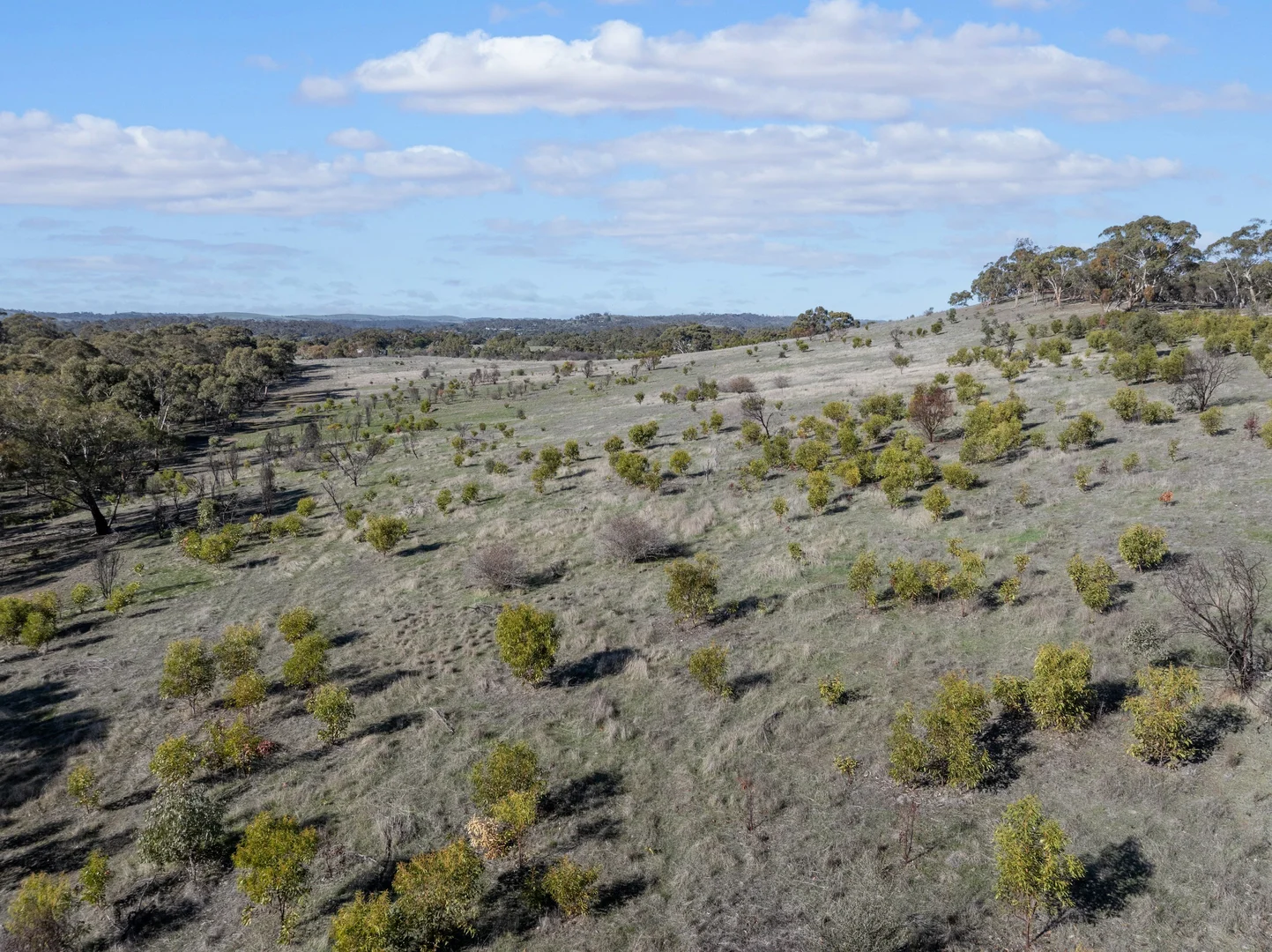 Additional image 10 of Lot 102 Benbournie Road, Armagh SA 5453