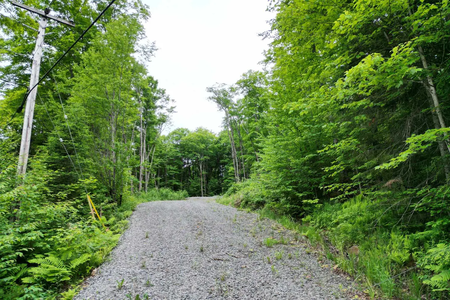 Additional image 8 of Lot 29 Bay Lake Road