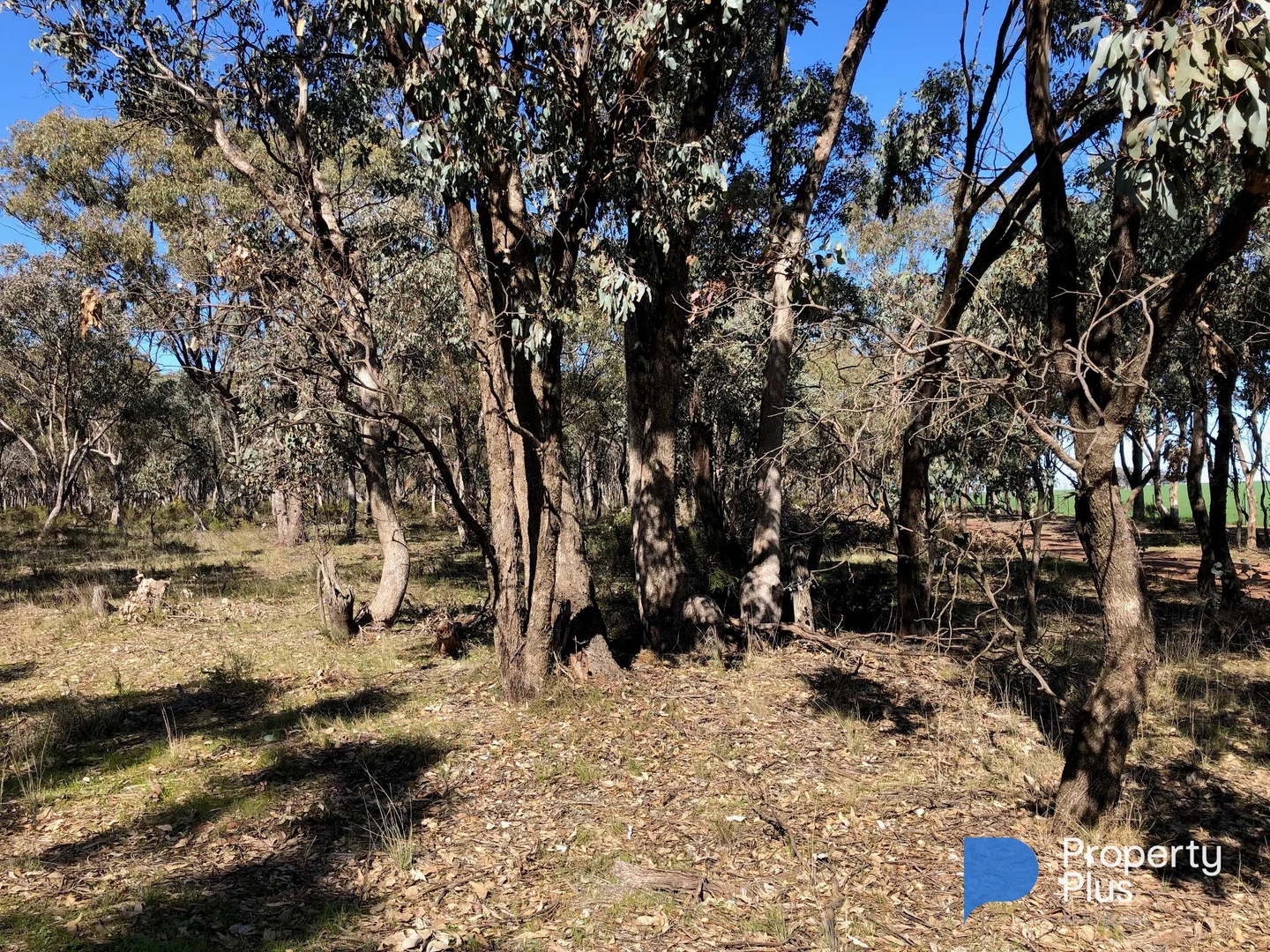 Additional image 3 of 18 & 19 Derby Road, Campbells Forest VIC 3556