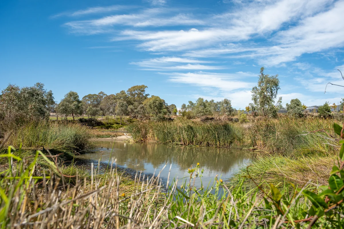 Additional image 19 of Lot 900 Sims Road & Paech Road, Mount Barker SA 5251