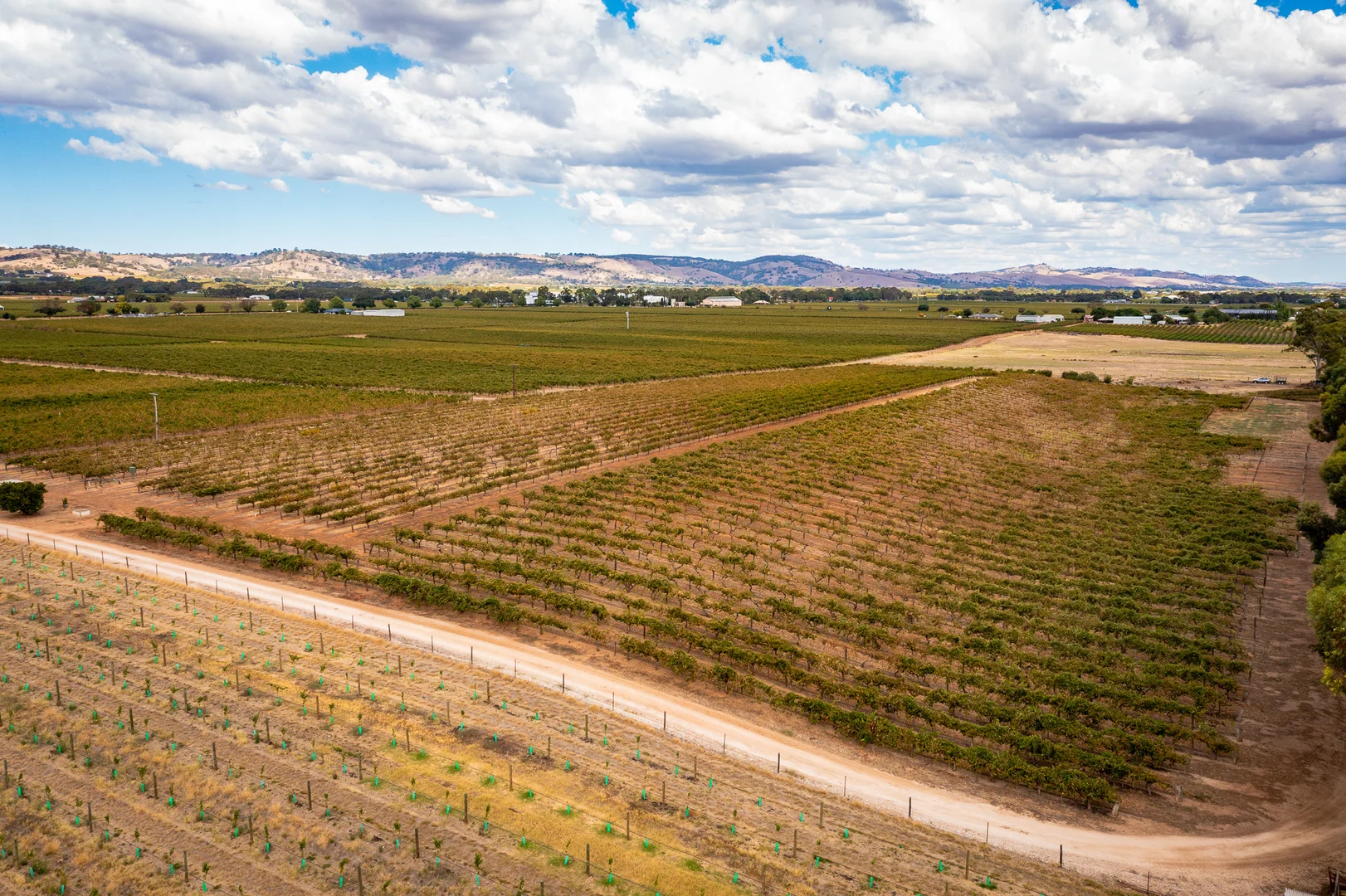 Additional image 3 of Lot 91 Nuraip Road, Nuriootpa SA 5355