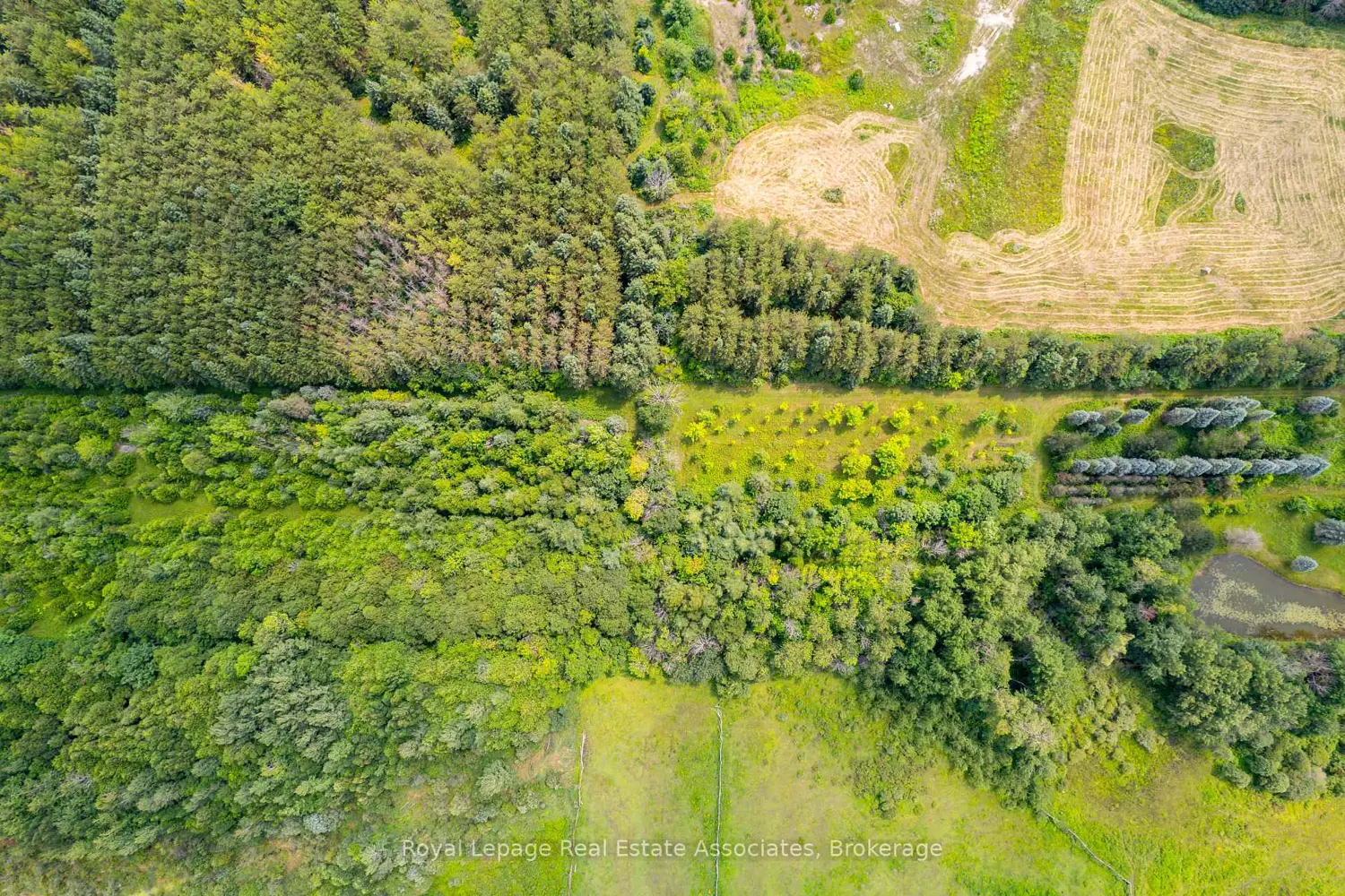 Additional image 8 of Pt 25 Fourth Line