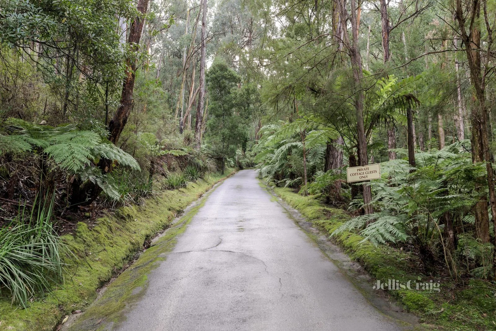Additional image 25 of 269 Myers Creek Road, Healesville VIC 3777
