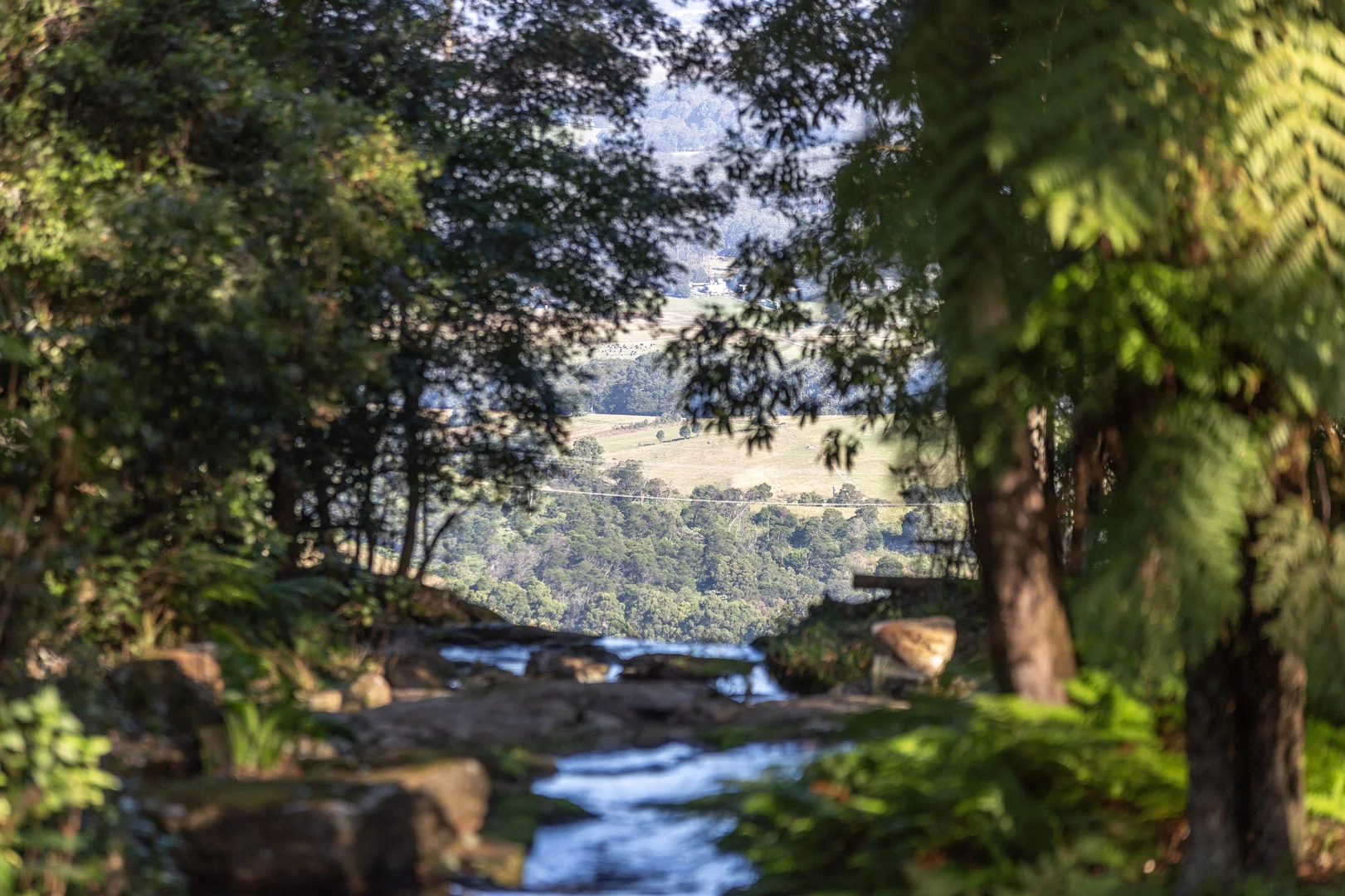 Additional image 28 of 236a Tullouch Road, Broughton Vale NSW 2535