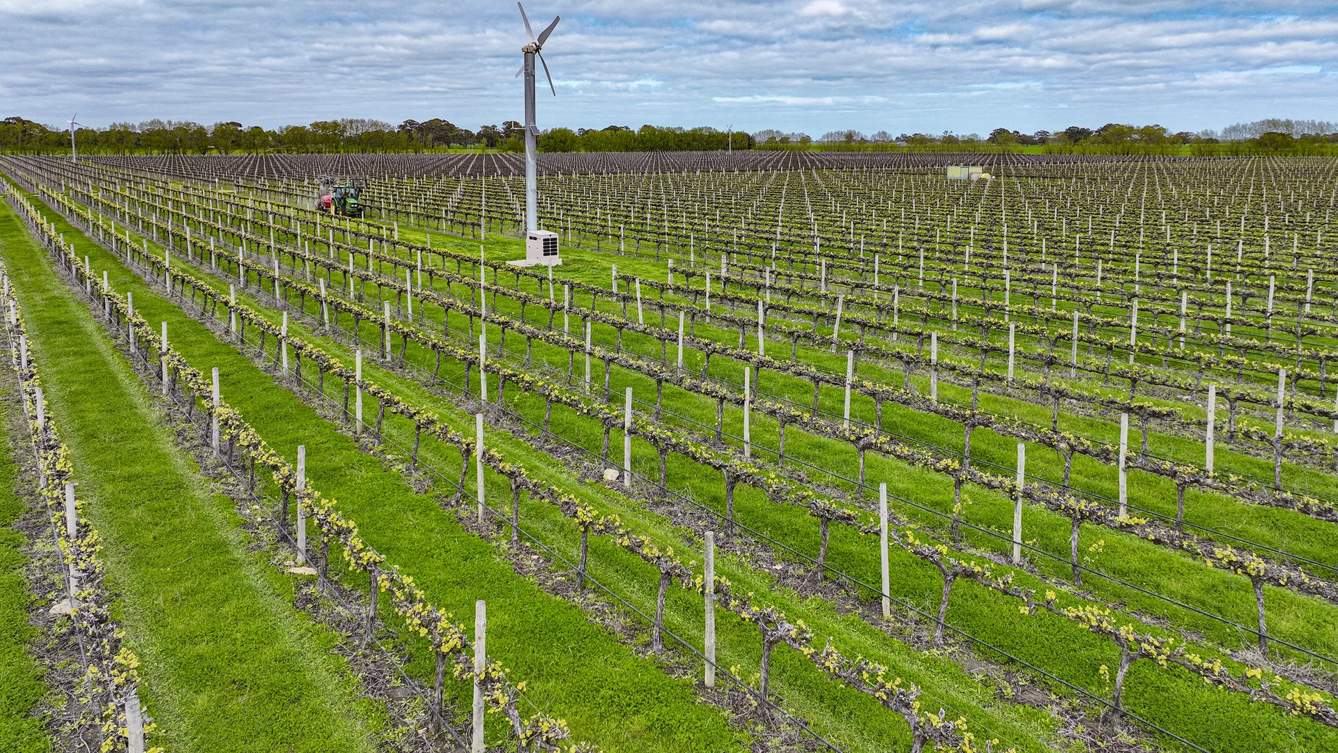 Additional image 12 of LOT 102, Bond Road, Penola SA 5277