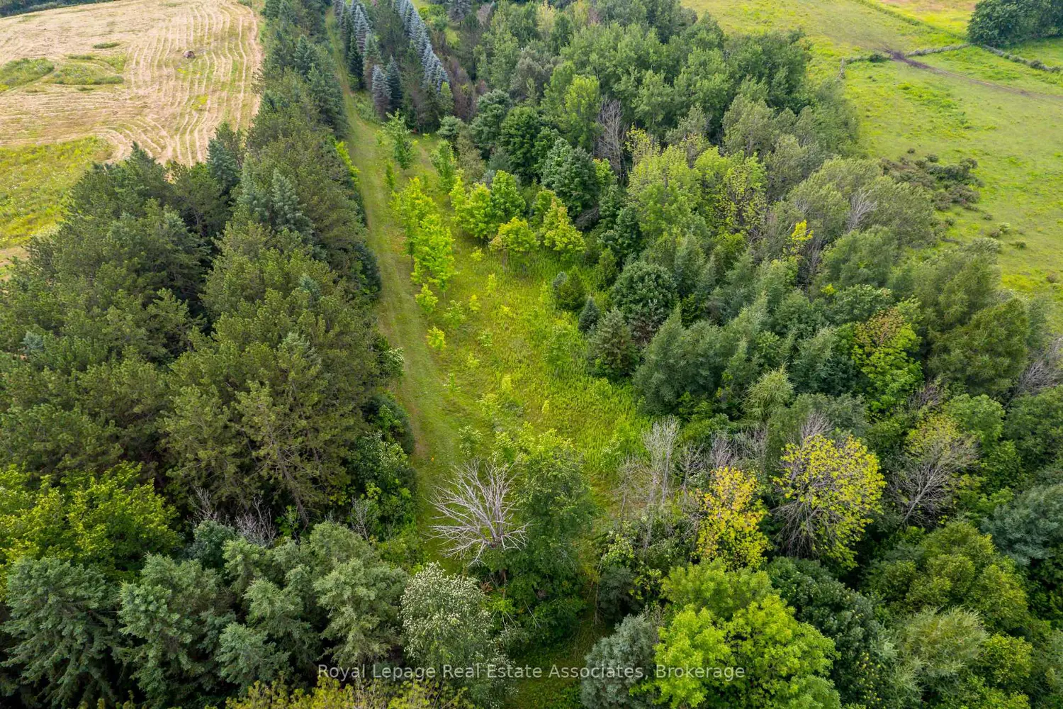 Additional image 11 of Pt 25 Fourth Line