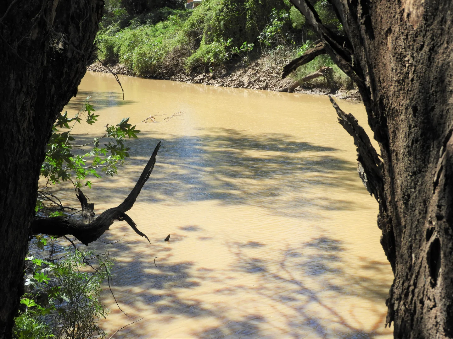 Additional image 6 of 45 Hilton Lane, Warren NSW 2824