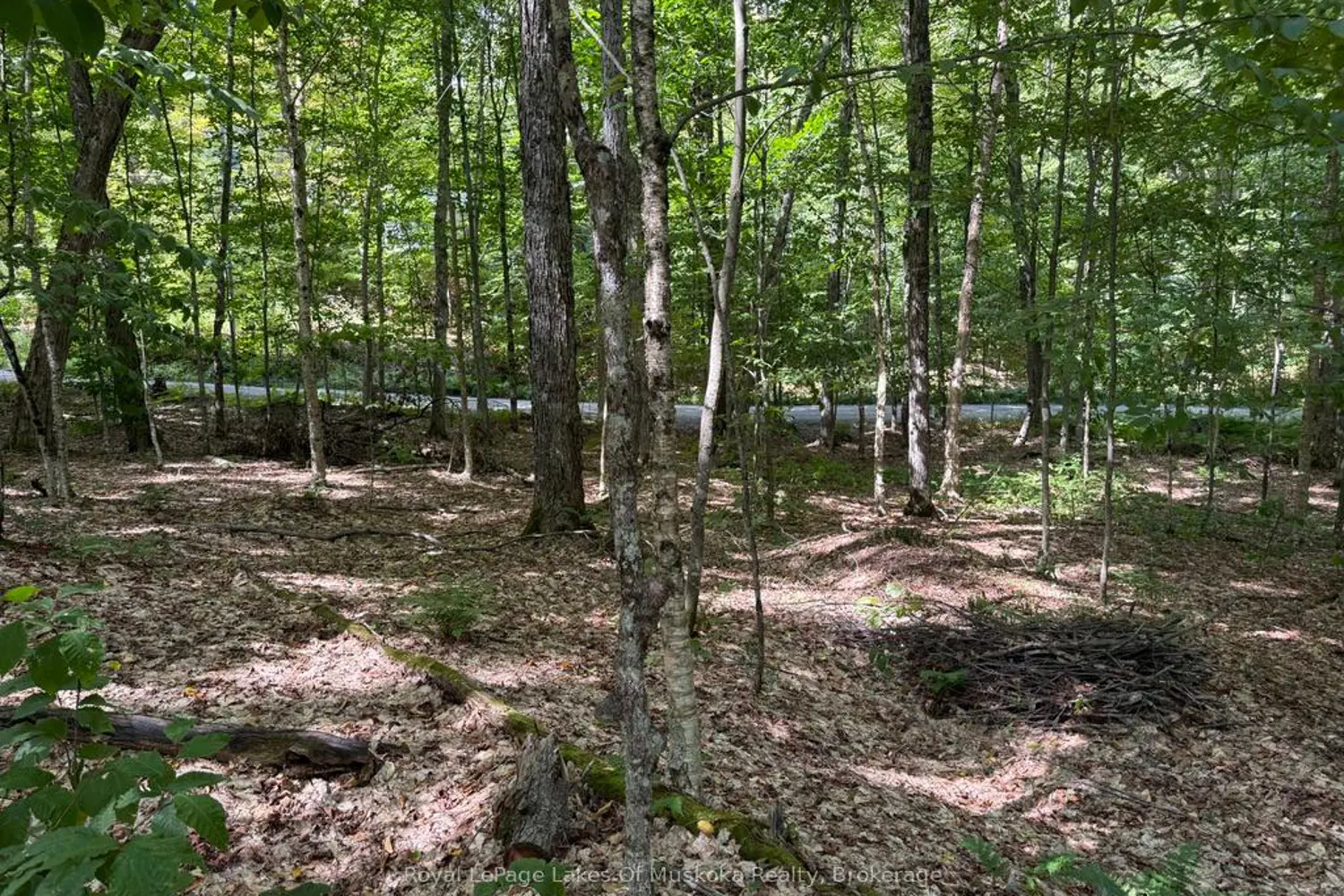 Additional image 9 of Lot 85 Brennan Circle