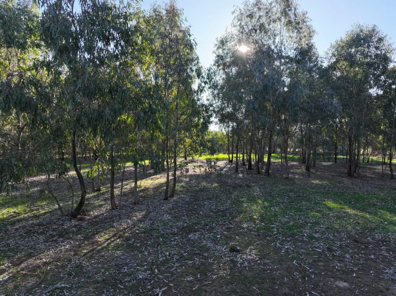 Additional image 5 of Langley Lane, McIntyre VIC 3472