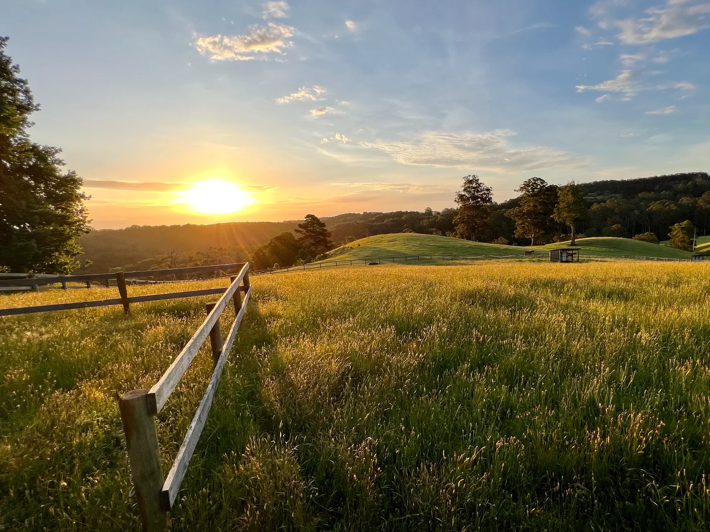 Additional image 5 of 102 Parker Road, Gembrook VIC 3783