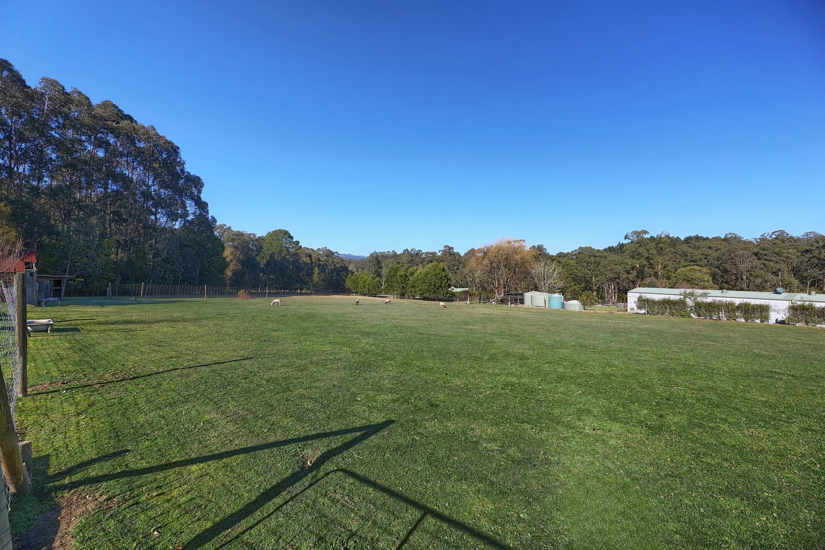 Additional image 12 of 300 Tarrango Road, Yarra Junction VIC 3797