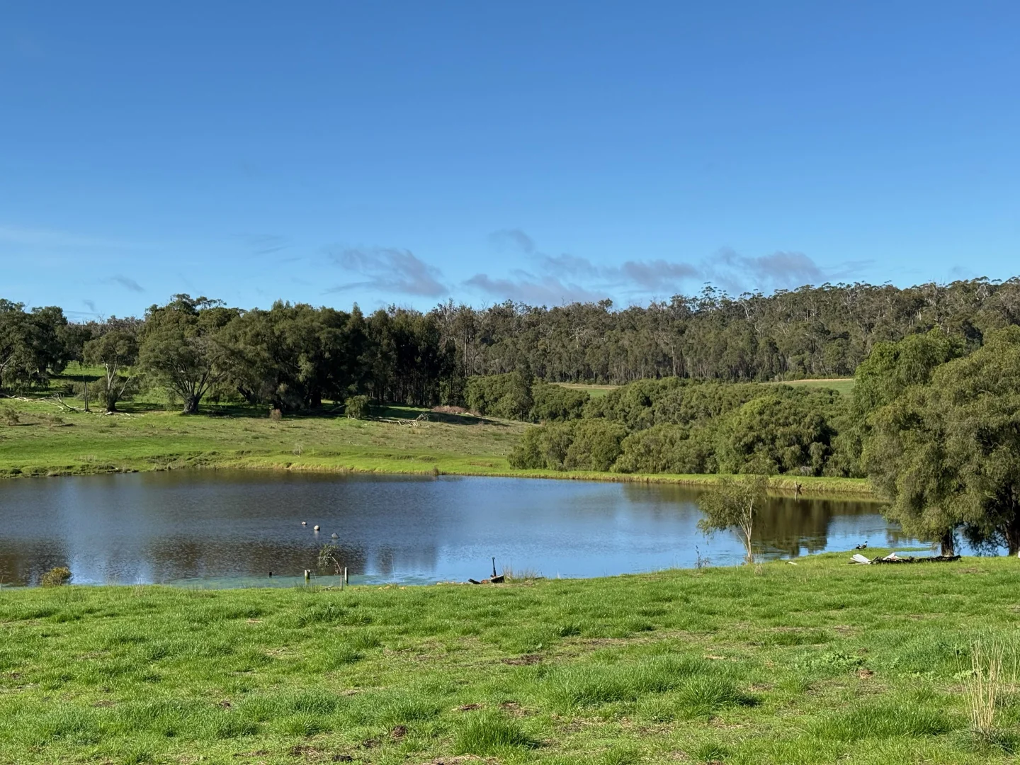 Additional image 13 of 228 Peppermint Grove Road, Middlesex WA 6258