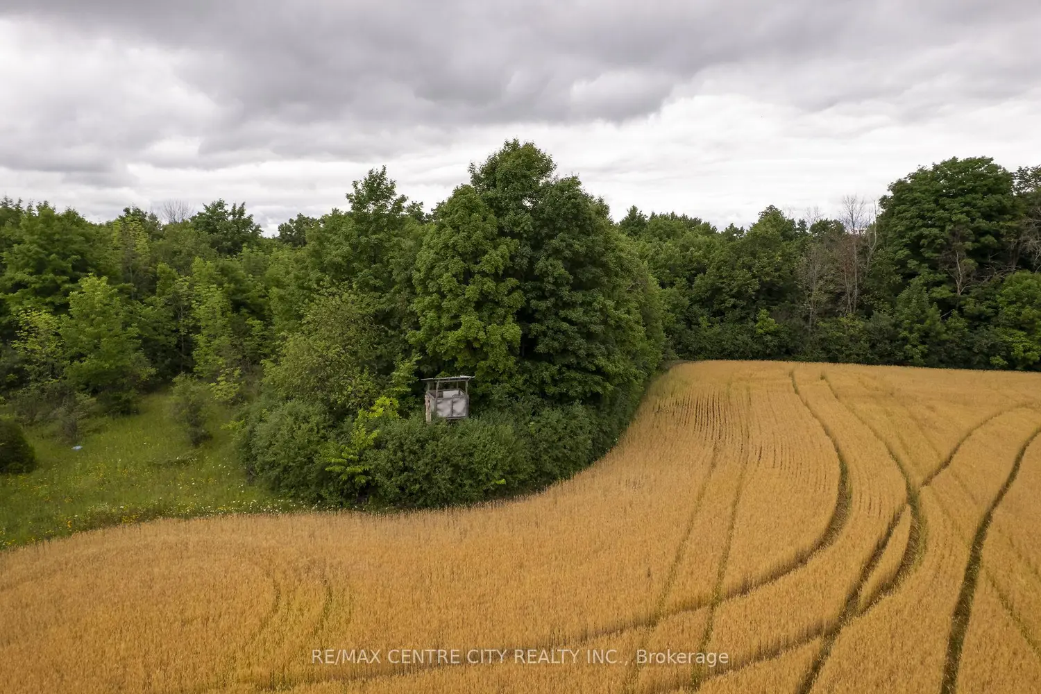Additional image 14 of Pt Lt 6 Concession 8 Road
