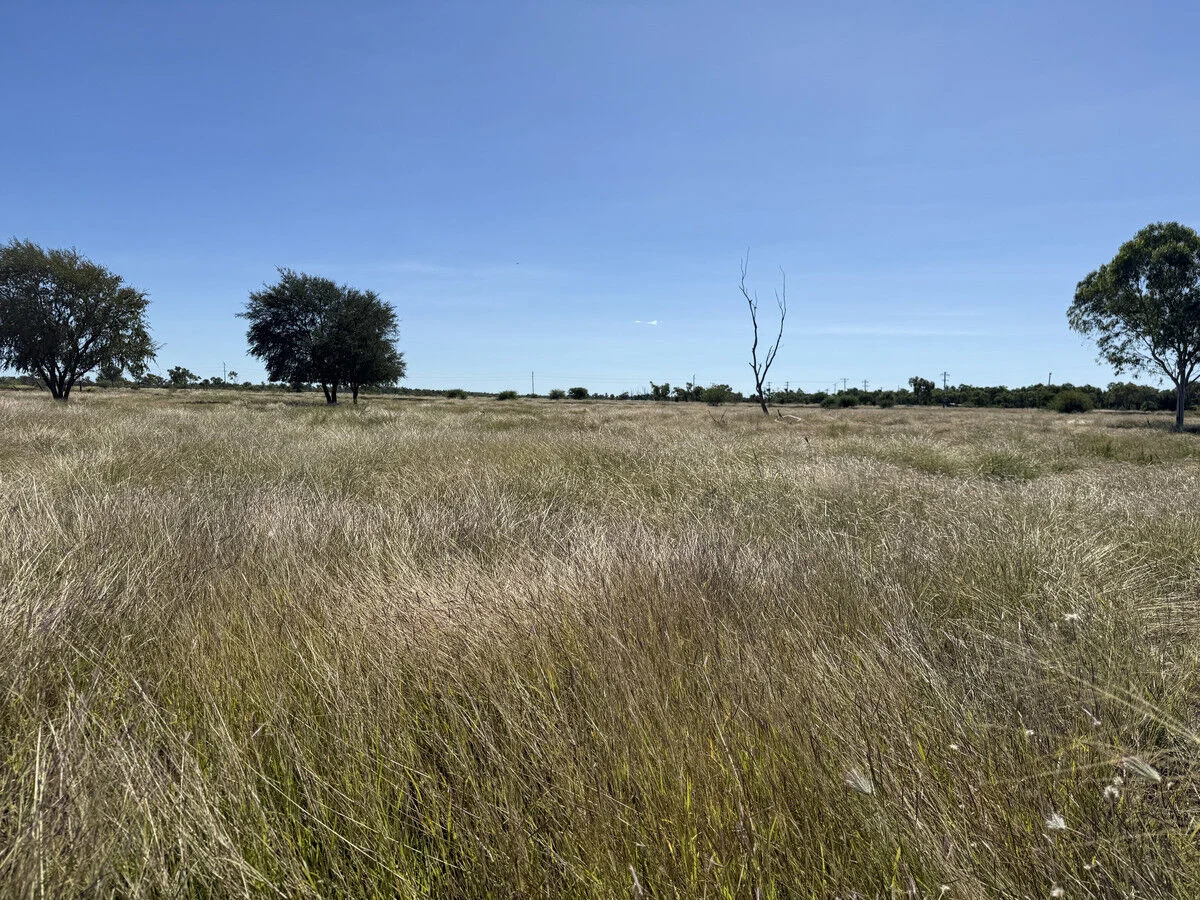 Additional image 30 of 17 Voss Street, Prairie QLD 4821