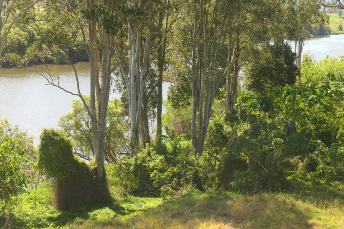 Additional image 29 of 1608 Tabulam Road, Tabulam NSW 2469