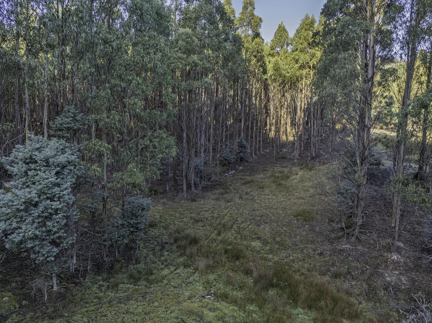 Additional image 23 of Judbury TAS 7109