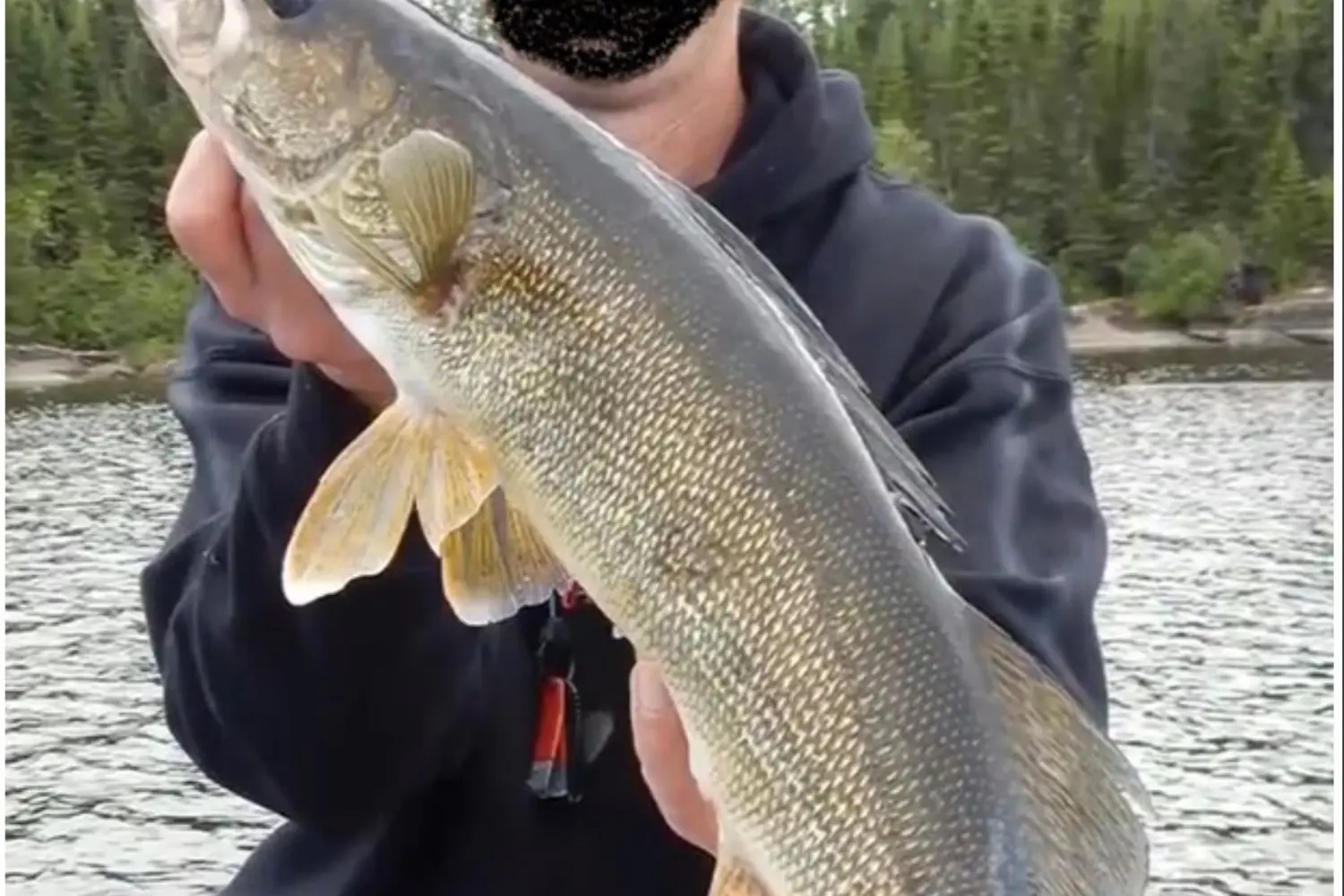 Additional image 15 of File 227 North Spirit Lake