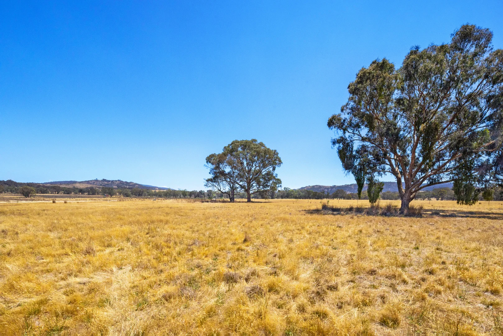 Additional image 7 of Taltarni Road, Moonambel VIC 3478