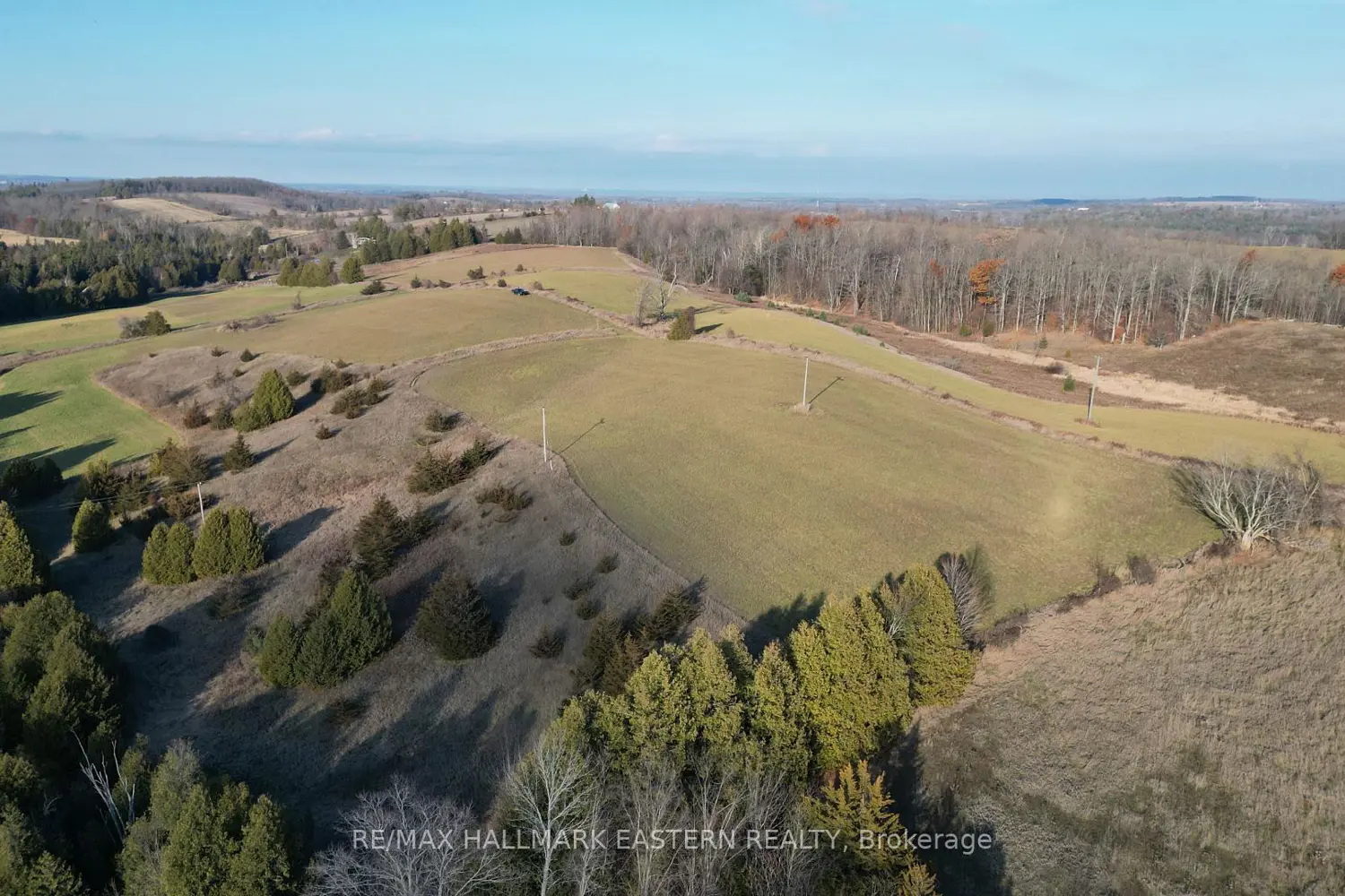 Additional image 9 of 461 Concession 11